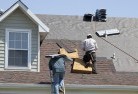 Webbertonskylights-2.jpg; ?>